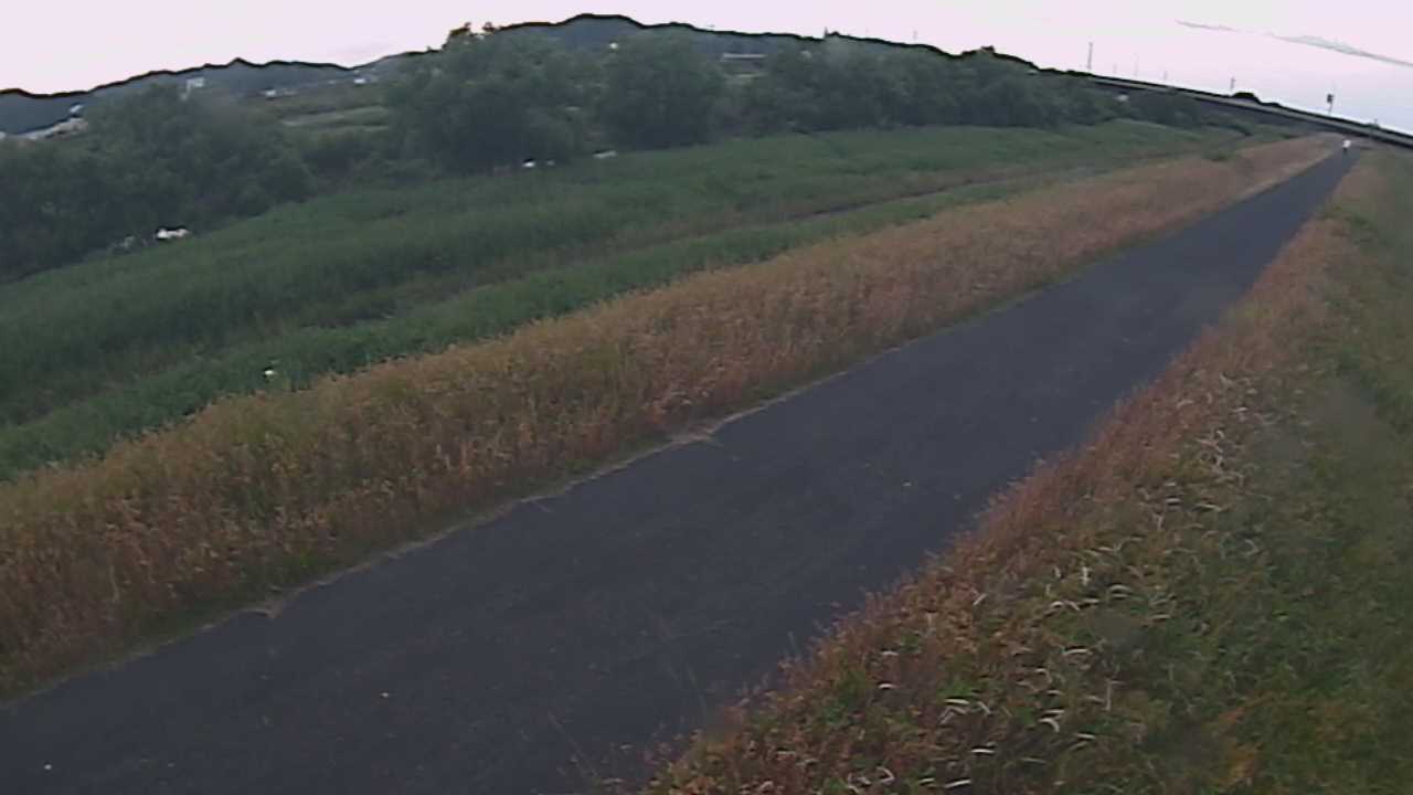 千代川　7.8ｋｍ右岸