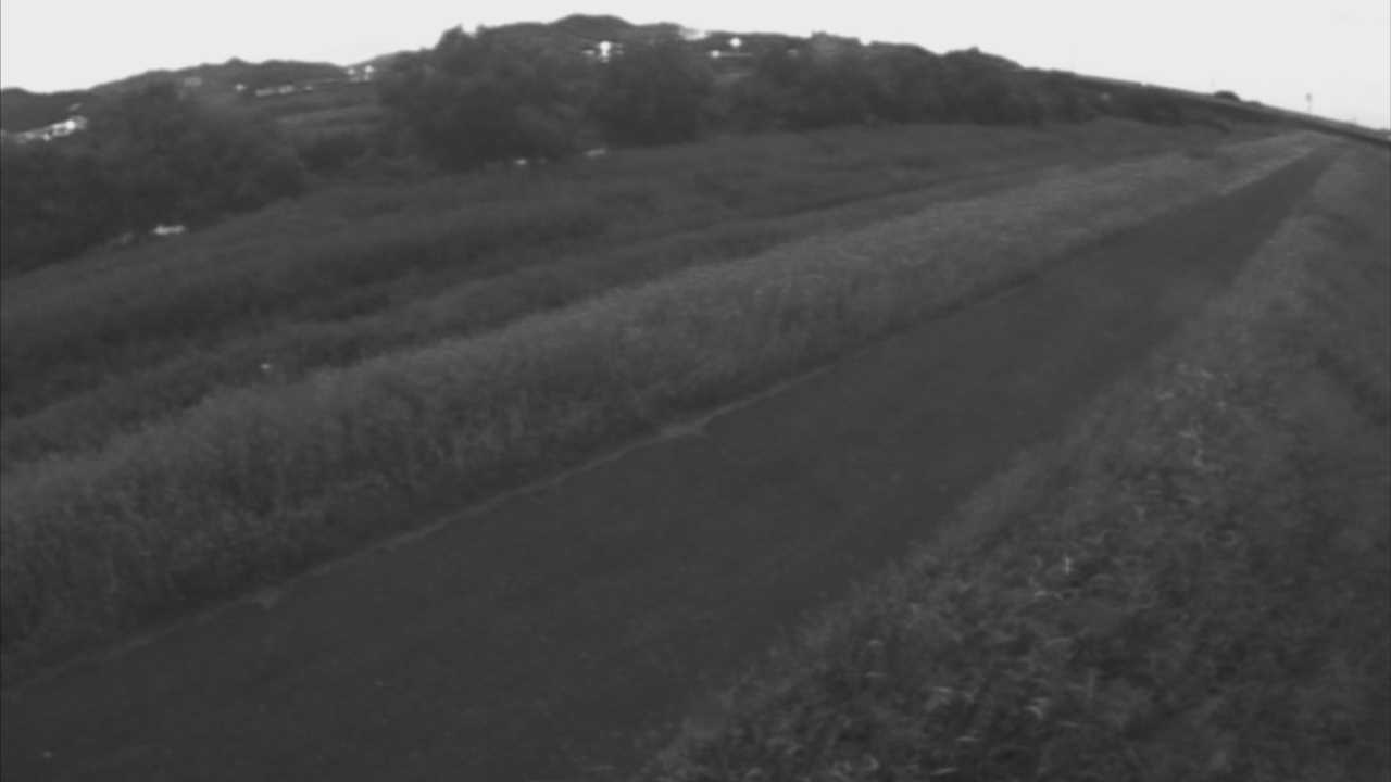 千代川　7.8ｋｍ右岸