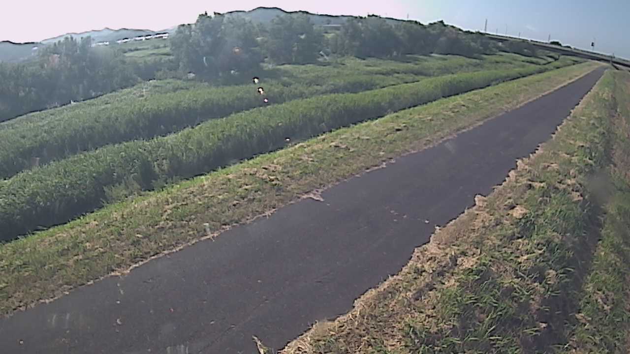 千代川　7.8ｋｍ右岸
