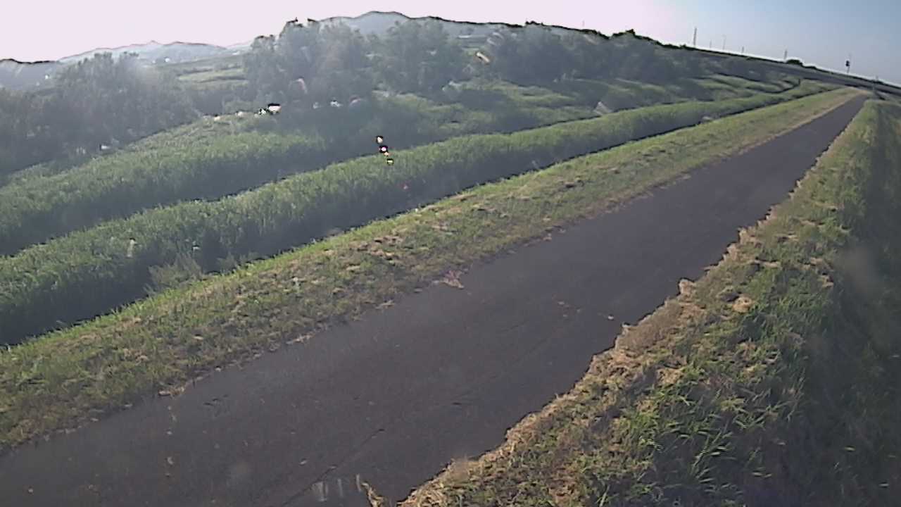 千代川　7.8ｋｍ右岸