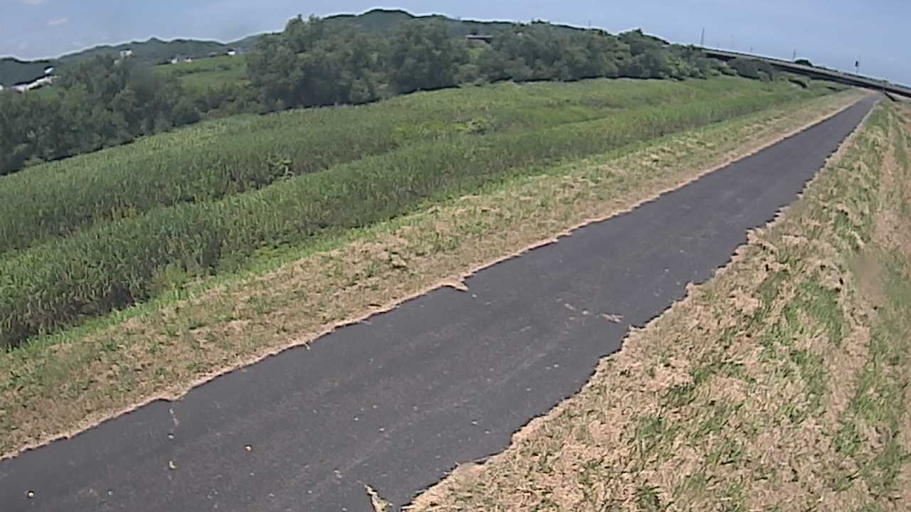千代川　7.8ｋｍ右岸