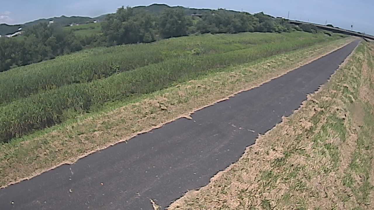 千代川　7.8ｋｍ右岸