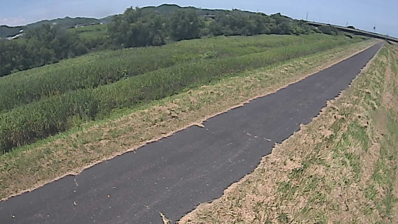 千代川　7.8ｋｍ右岸