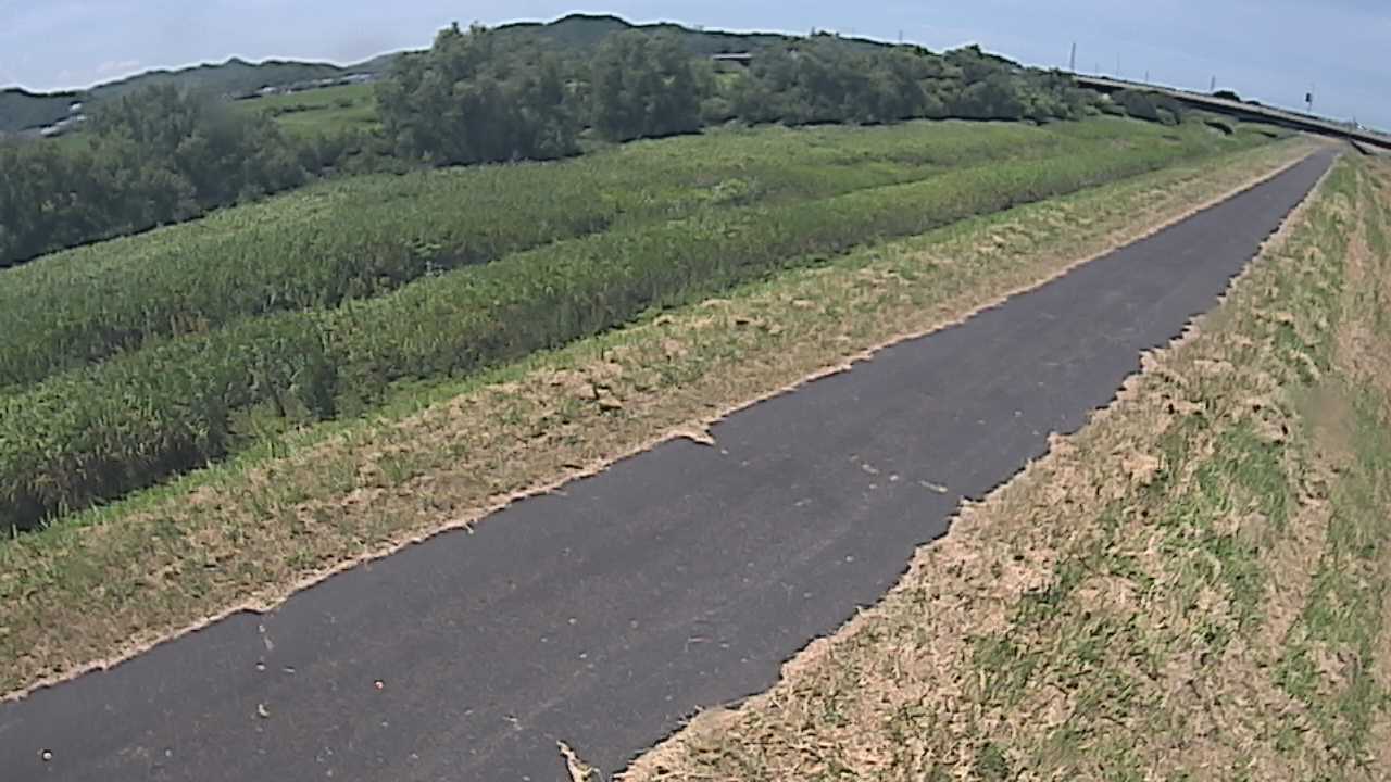 千代川　7.8ｋｍ右岸