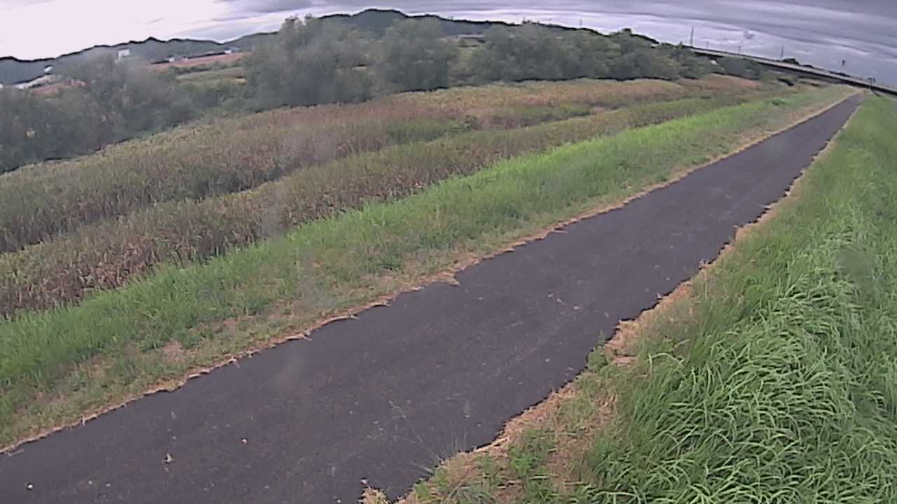 千代川　7.8ｋｍ右岸