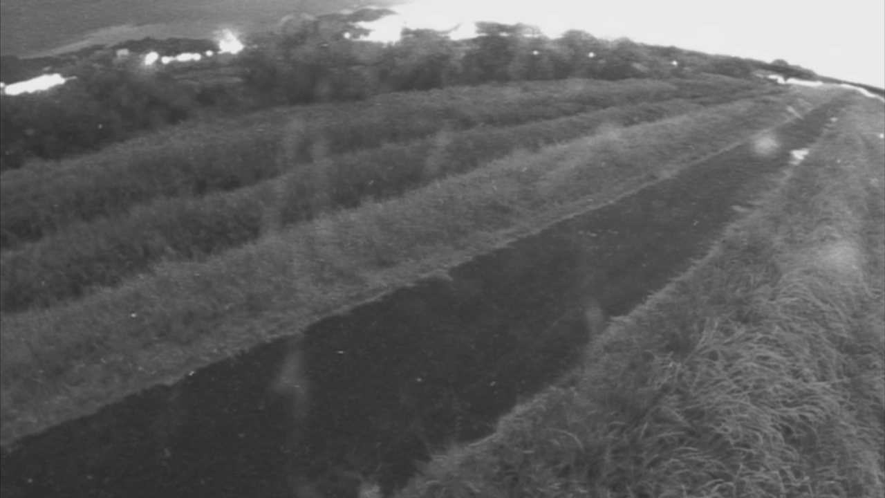 千代川　7.8ｋｍ右岸
