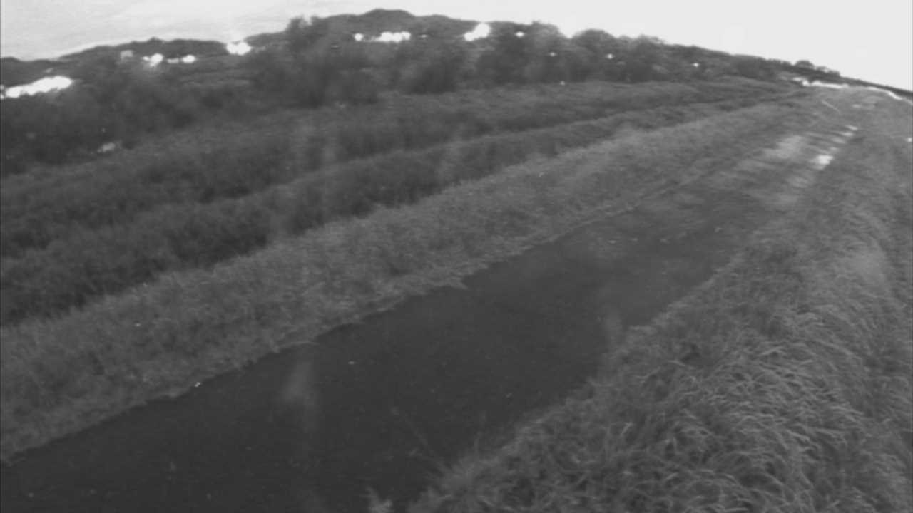 千代川　7.8ｋｍ右岸
