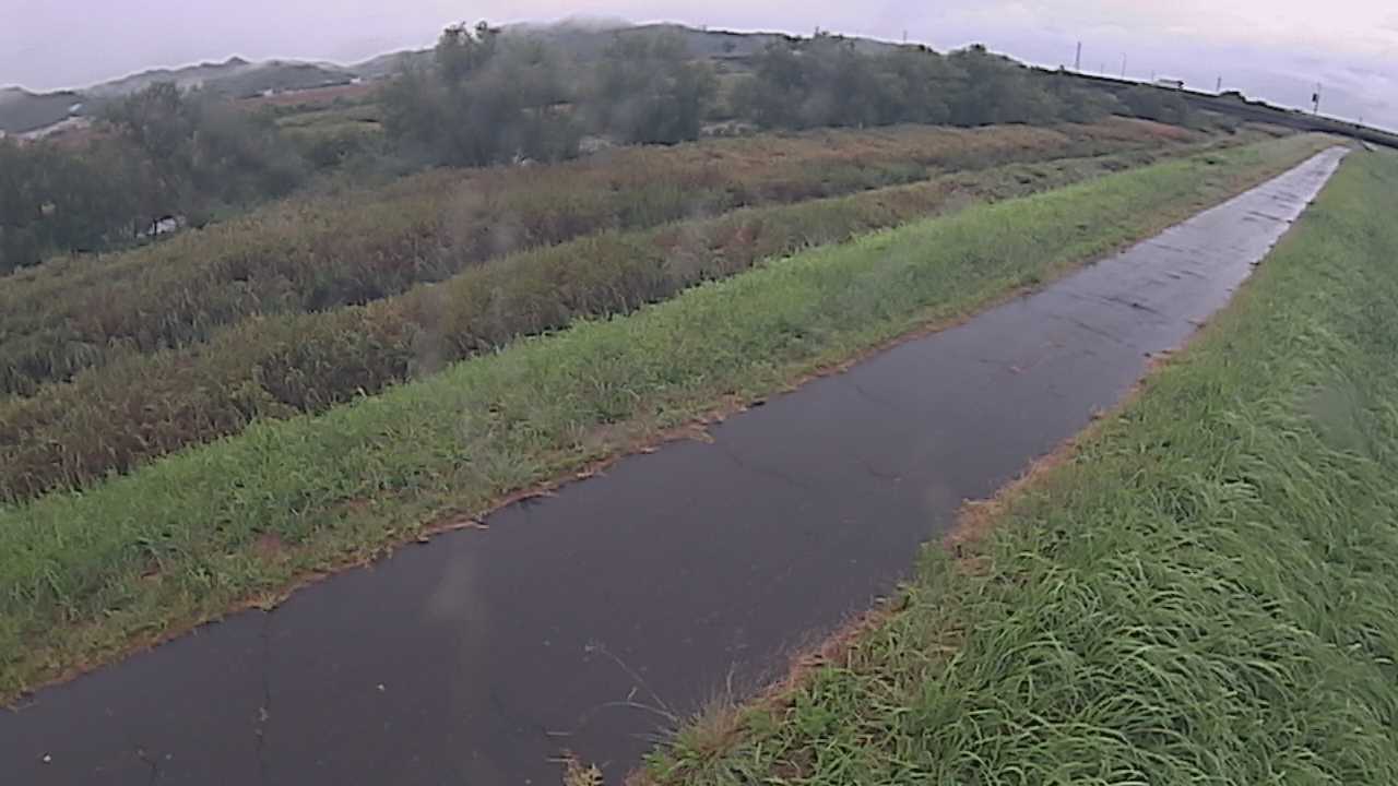 千代川　7.8ｋｍ右岸