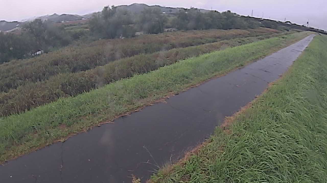 千代川　7.8ｋｍ右岸
