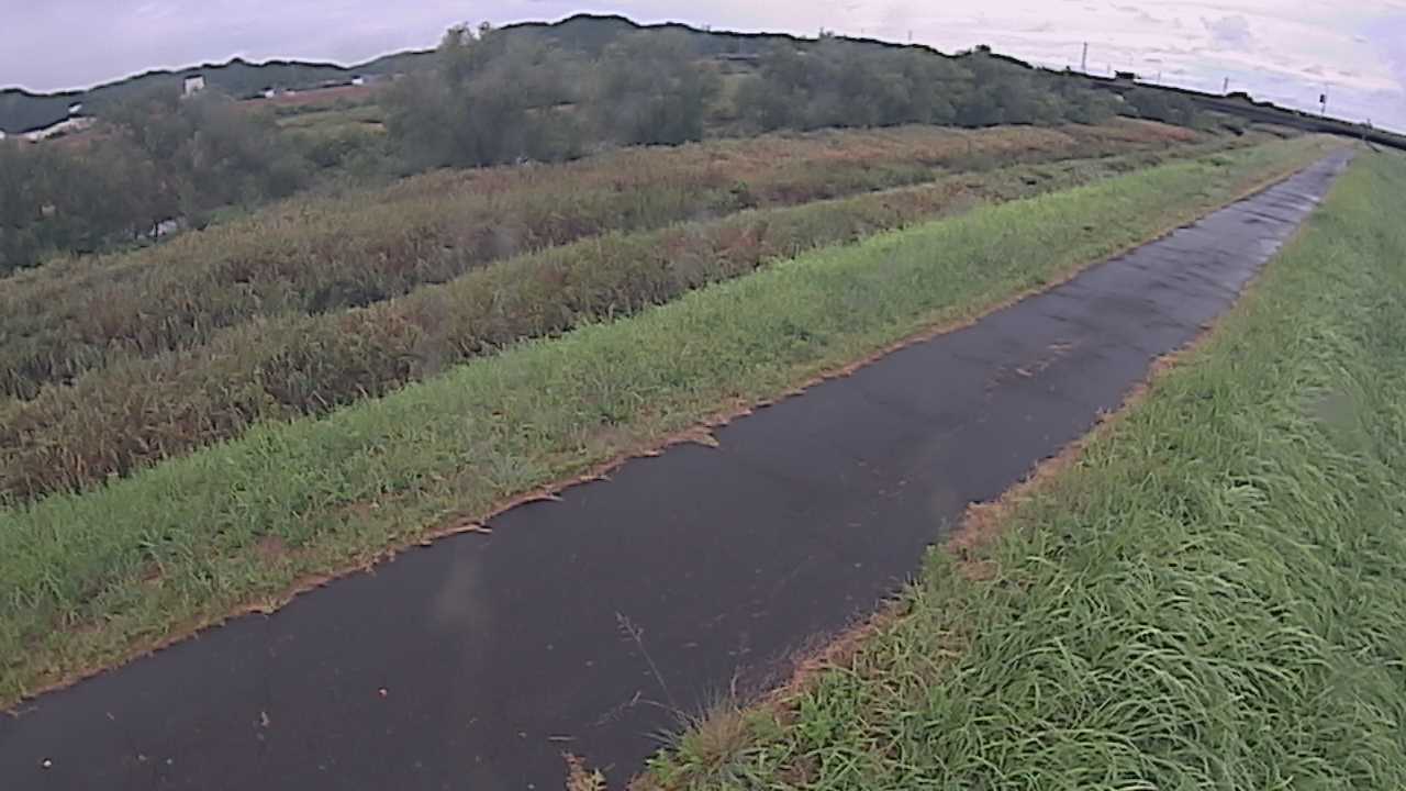 千代川　7.8ｋｍ右岸