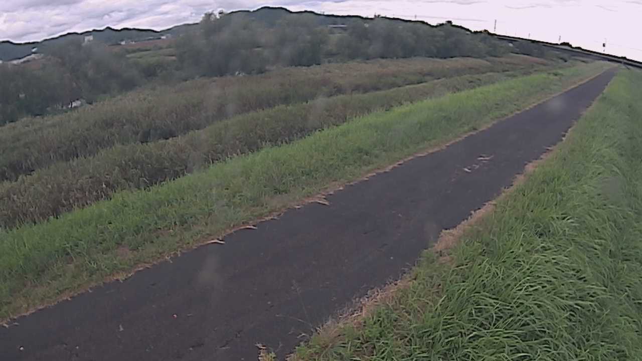 千代川　7.8ｋｍ右岸