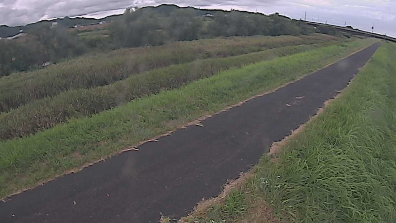 千代川　7.8ｋｍ右岸