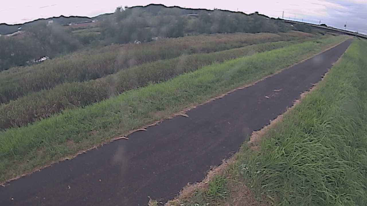 千代川　7.8ｋｍ右岸