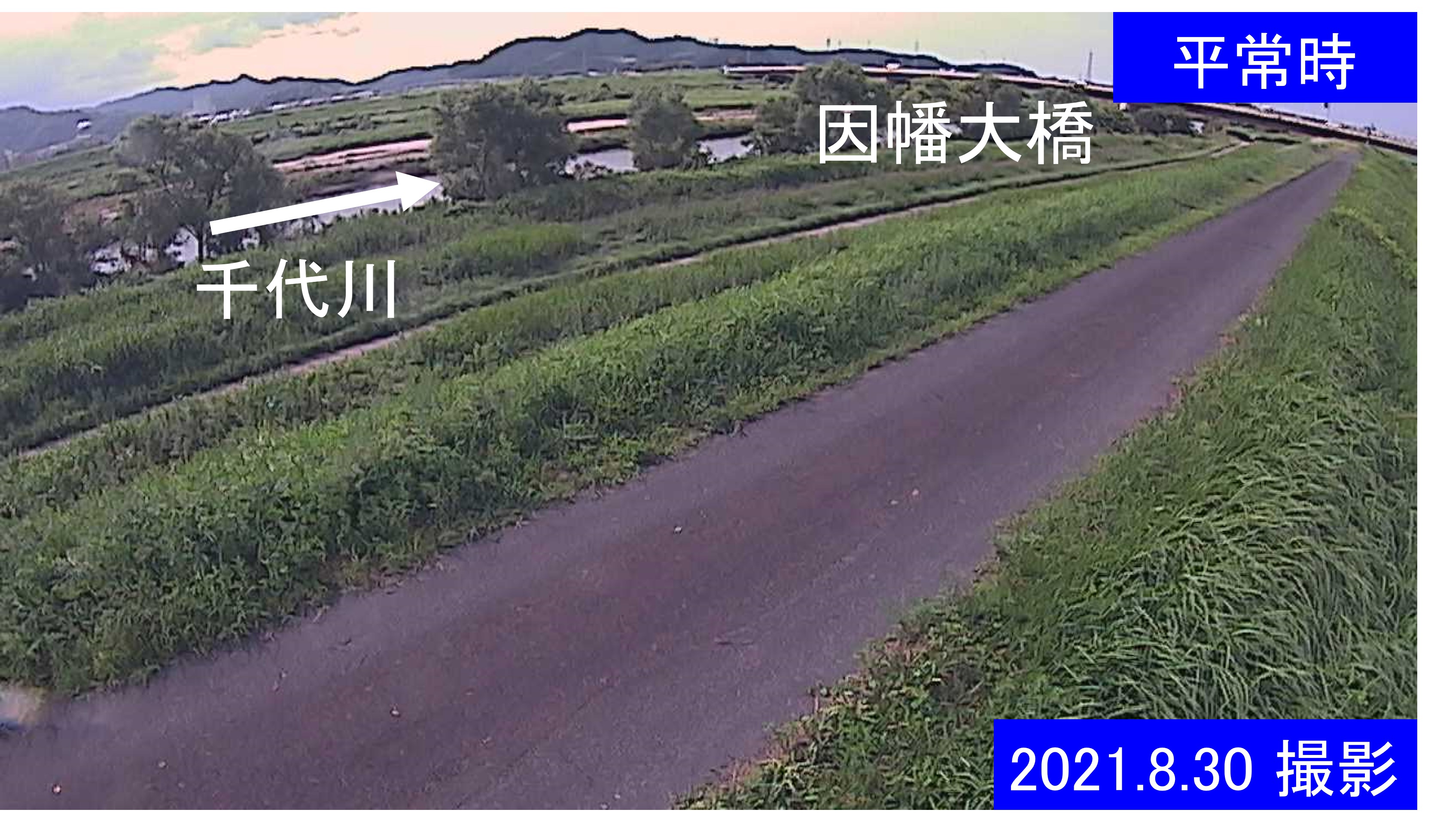 千代川　7.8ｋｍ右岸(通常の水位)