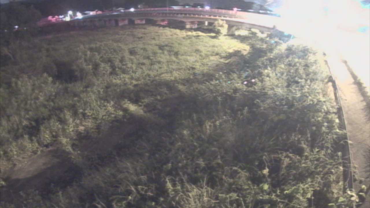 千代川　16.8ｋｍ右岸