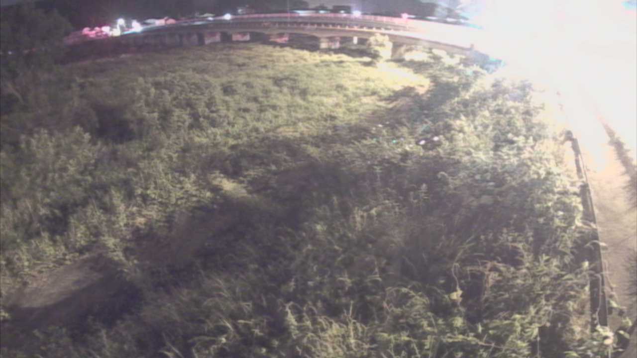 千代川　16.8ｋｍ右岸