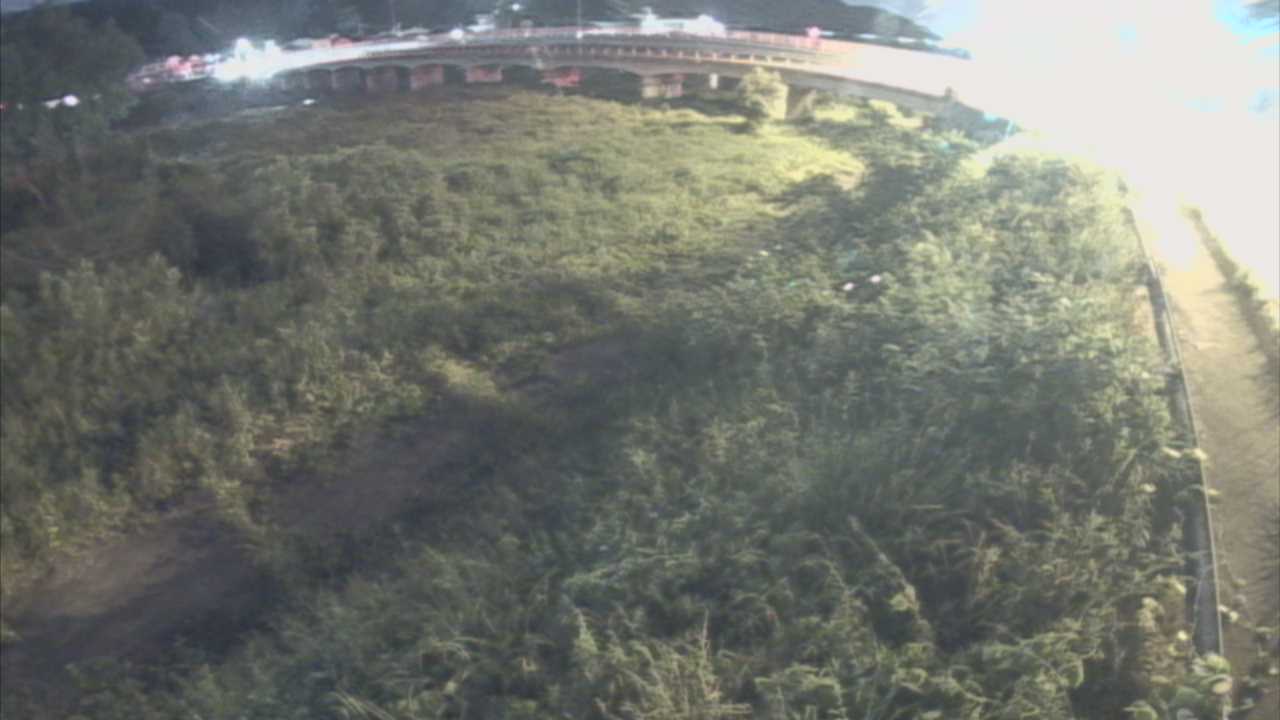 千代川　16.8ｋｍ右岸
