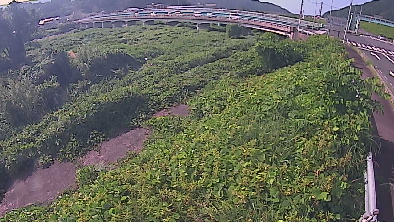 千代川　16.8ｋｍ右岸