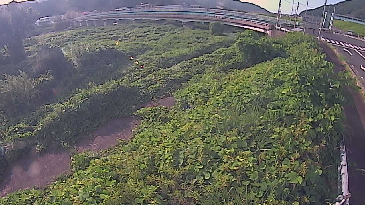 千代川　16.8ｋｍ右岸