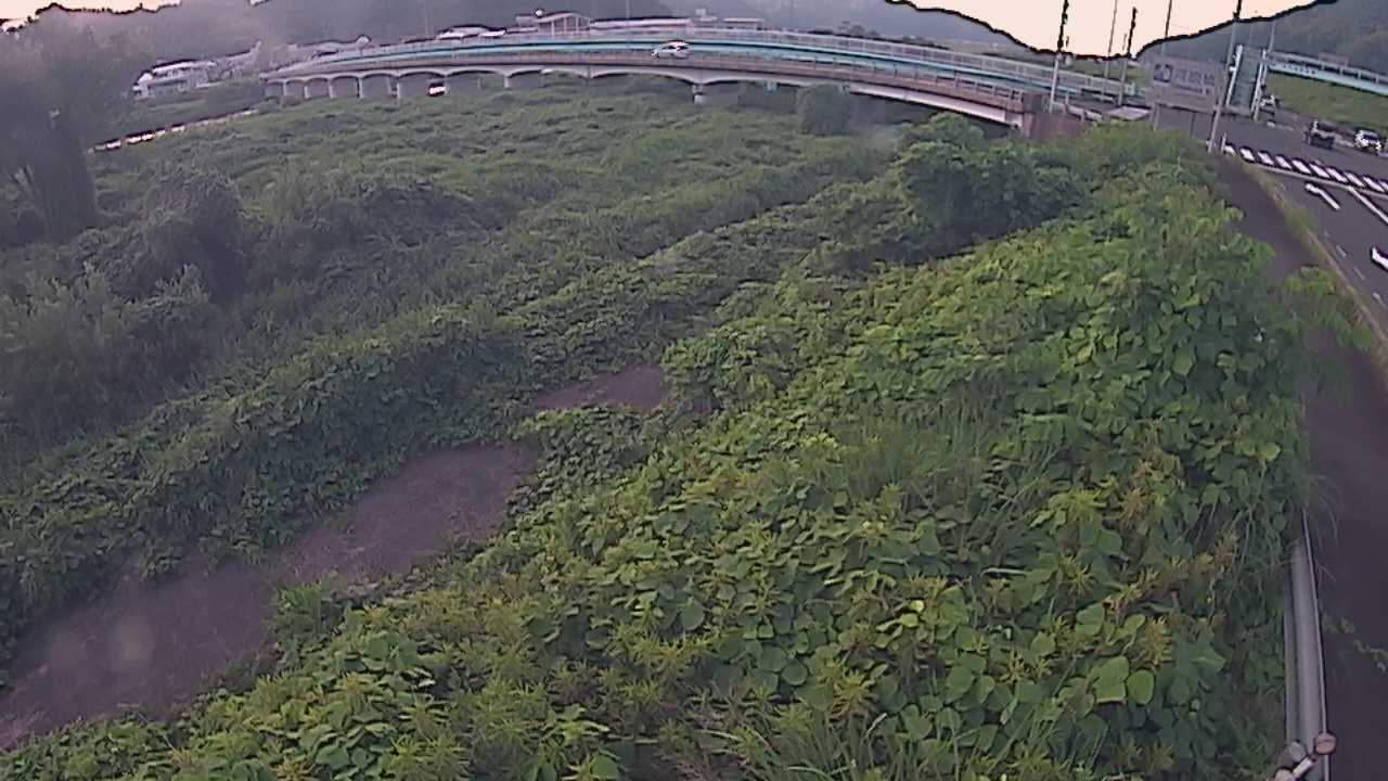 千代川　16.8ｋｍ右岸