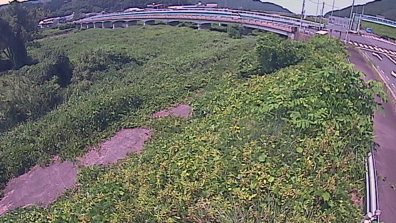 千代川　16.8ｋｍ右岸