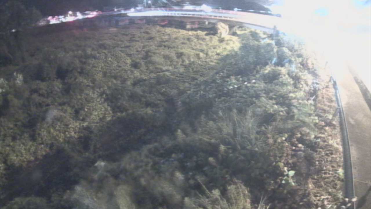 千代川　16.8ｋｍ右岸