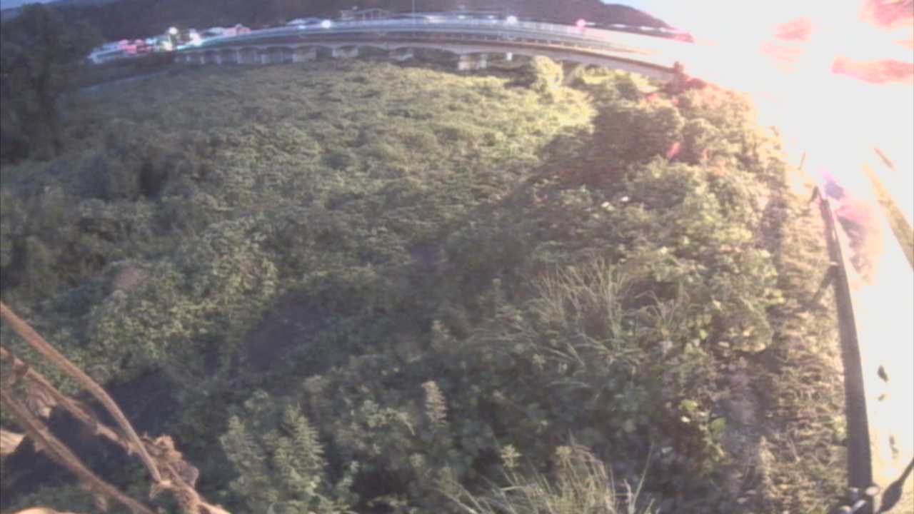 千代川　16.8ｋｍ右岸