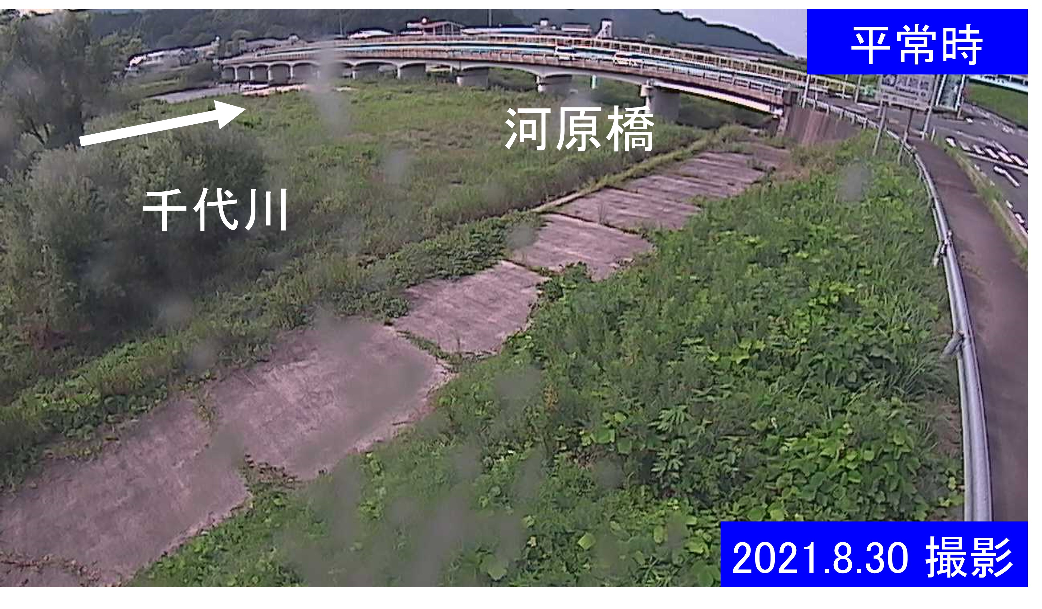 千代川　16.8ｋｍ右岸(通常の水位)