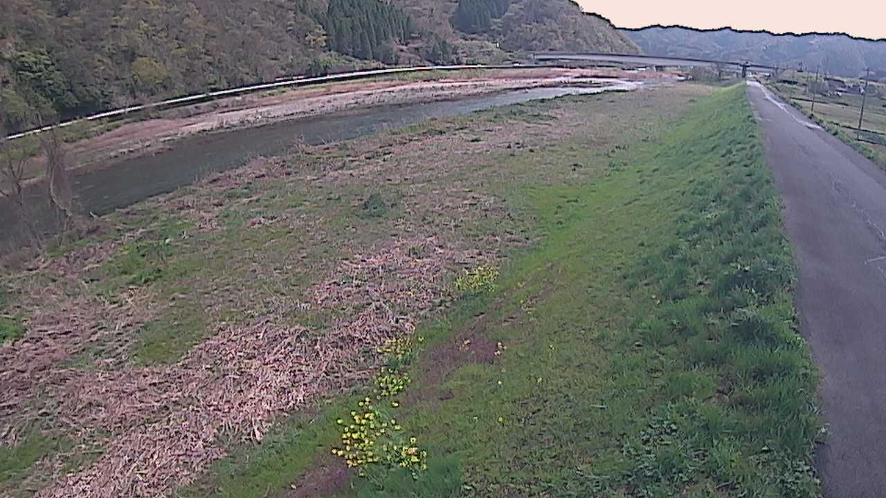 千代川　19ｋｍ左岸