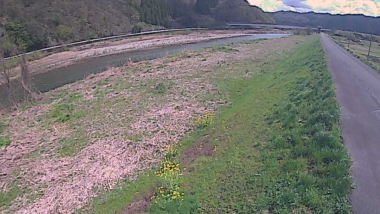 千代川　19ｋｍ左岸