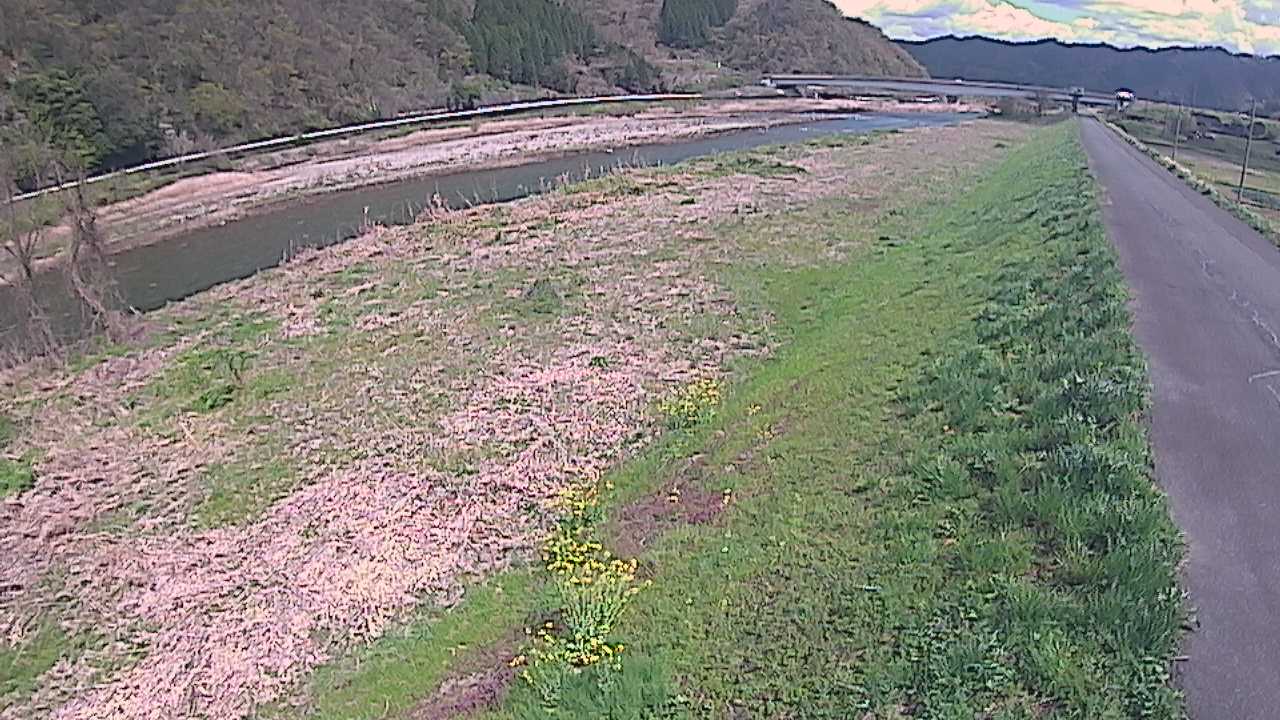 千代川　19ｋｍ左岸