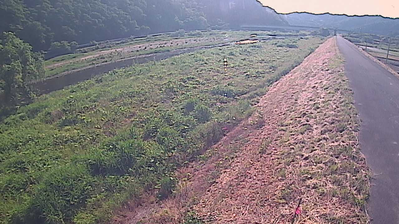 千代川　19ｋｍ左岸
