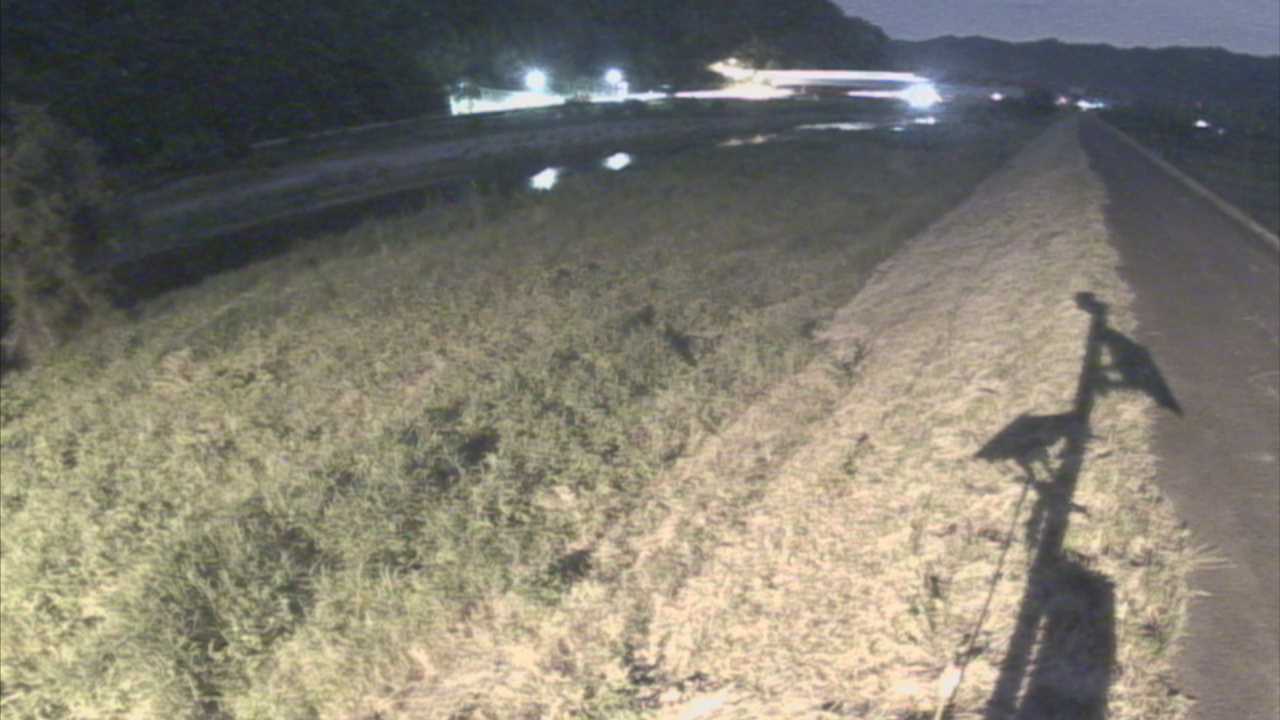 千代川　19ｋｍ左岸