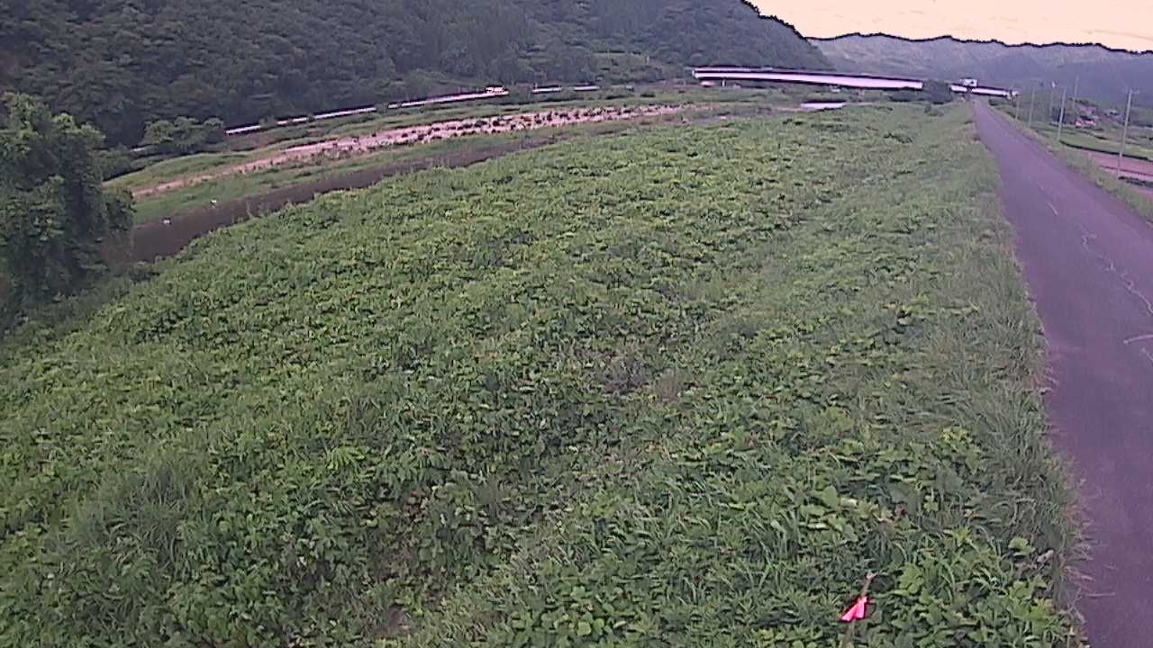 千代川　19ｋｍ左岸