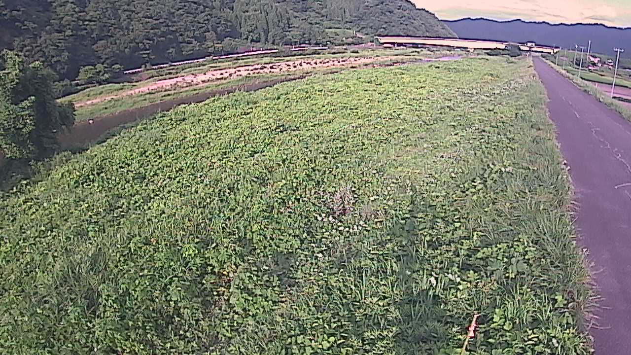 千代川　19ｋｍ左岸