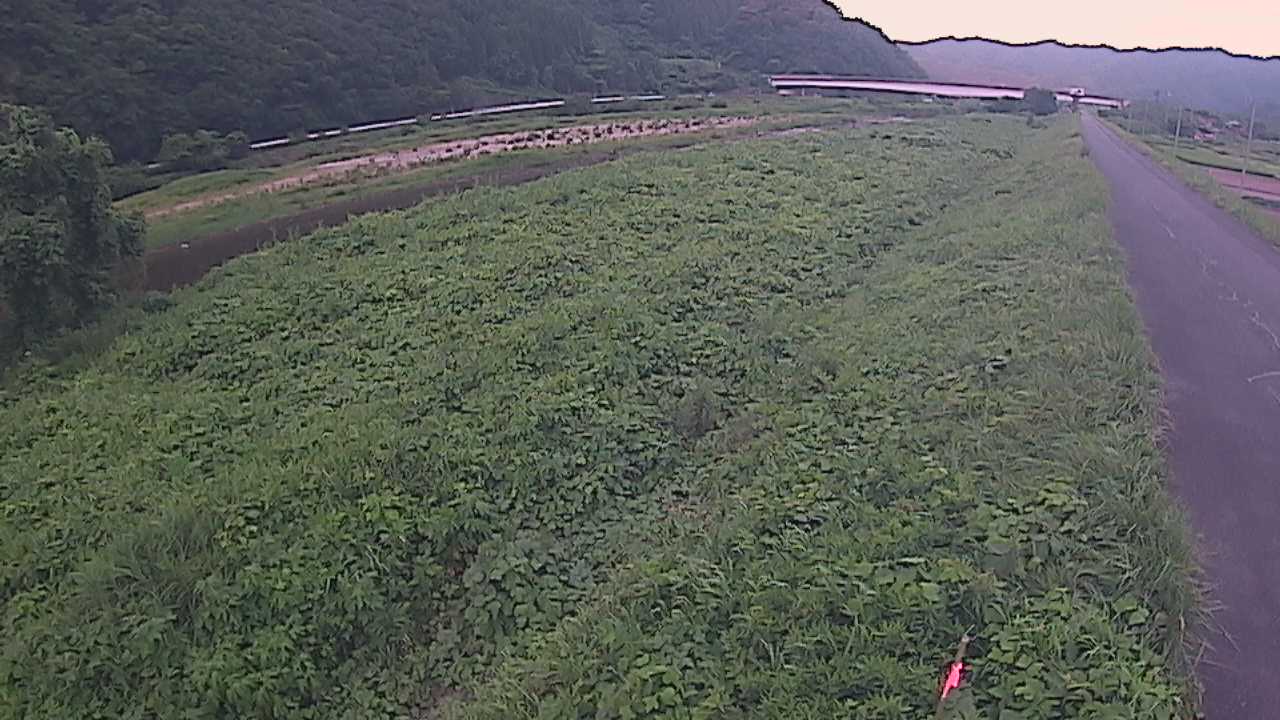 千代川　19ｋｍ左岸