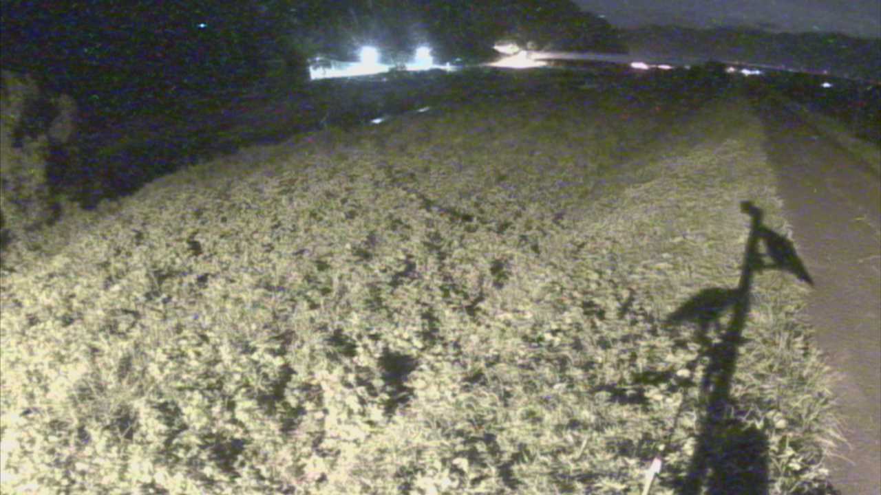 千代川　19ｋｍ左岸