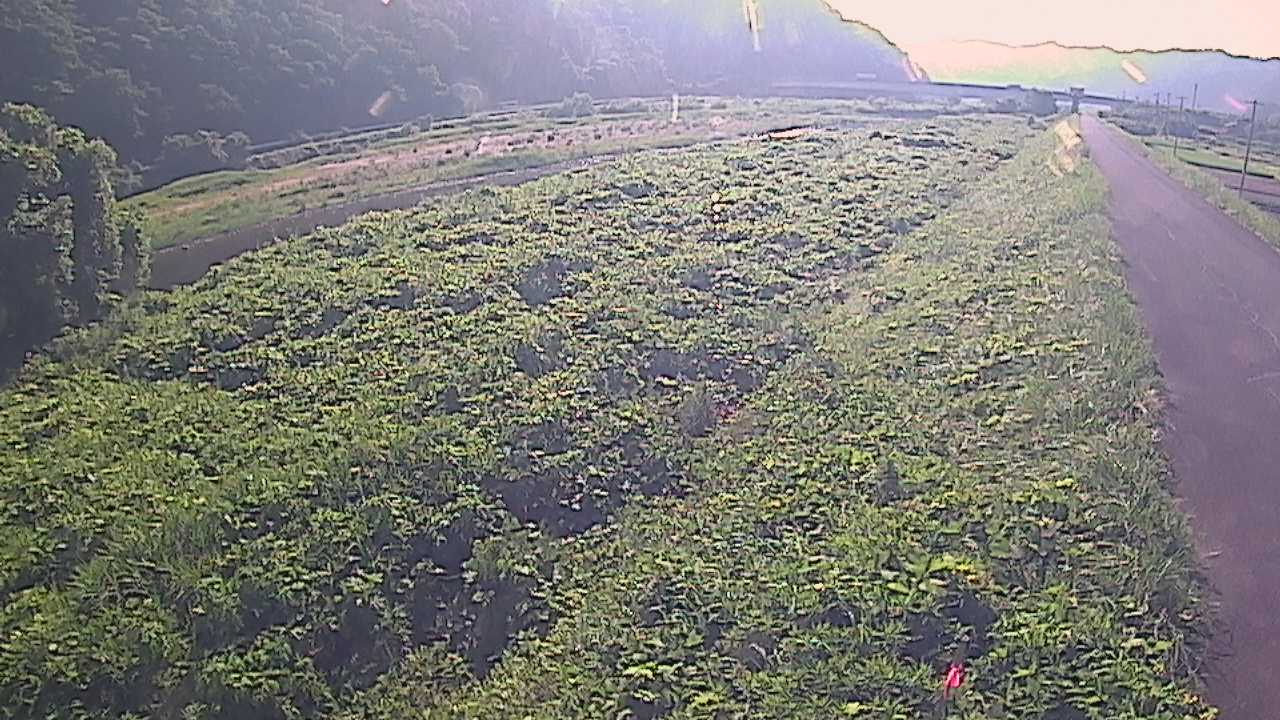 千代川　19ｋｍ左岸