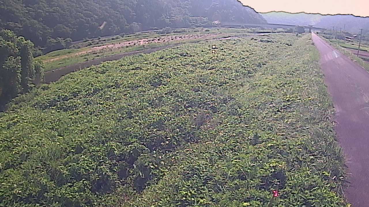 千代川　19ｋｍ左岸