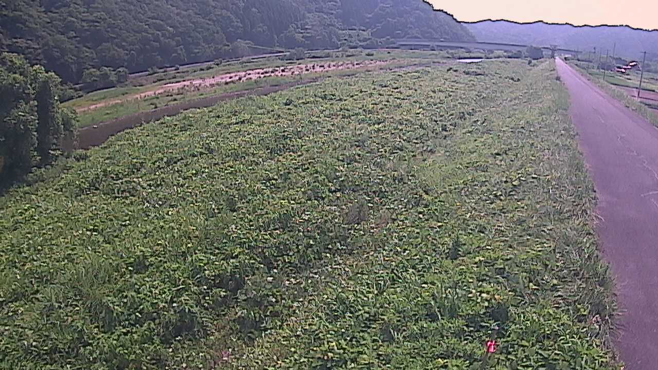 千代川　19ｋｍ左岸