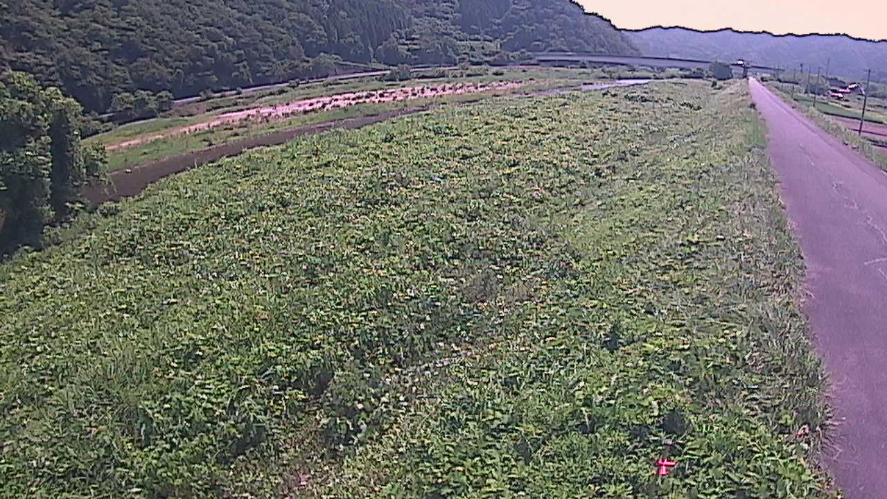 千代川　19ｋｍ左岸