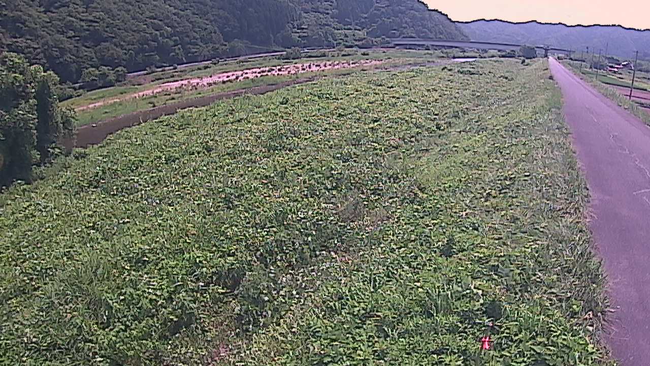 千代川　19ｋｍ左岸