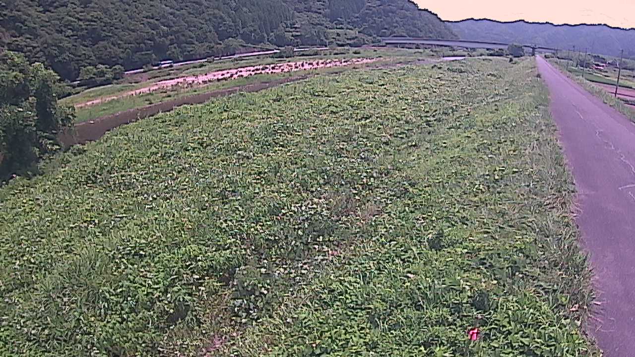 千代川　19ｋｍ左岸