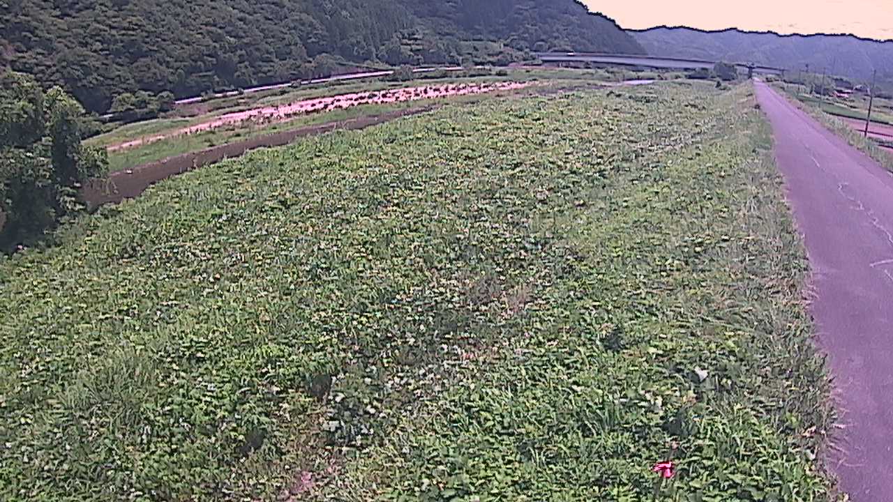 千代川　19ｋｍ左岸