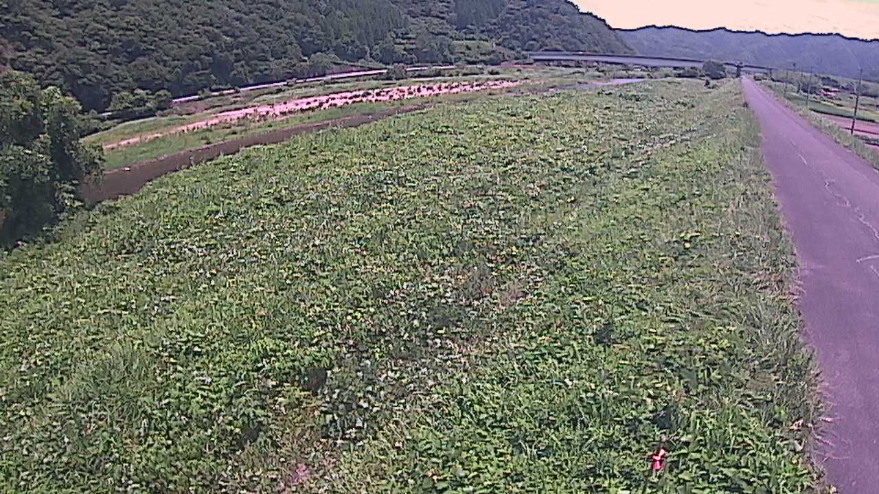 千代川　19ｋｍ左岸