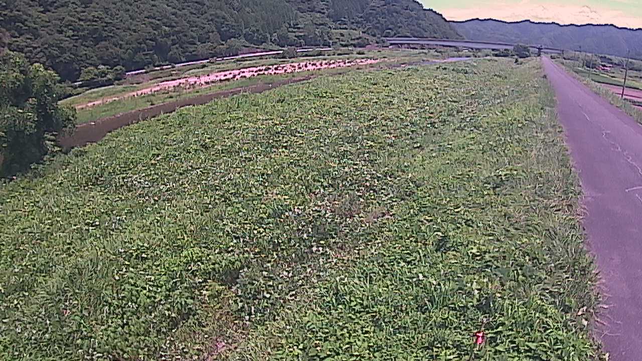 千代川　19ｋｍ左岸