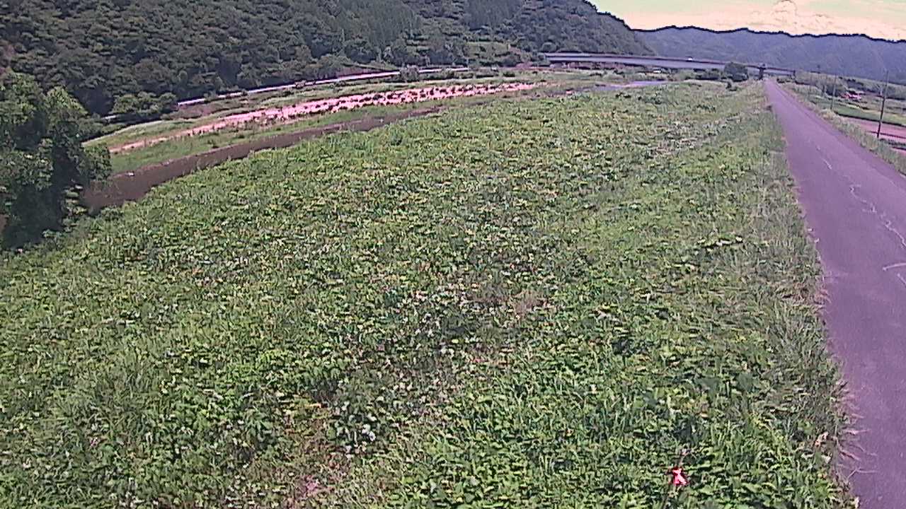 千代川　19ｋｍ左岸