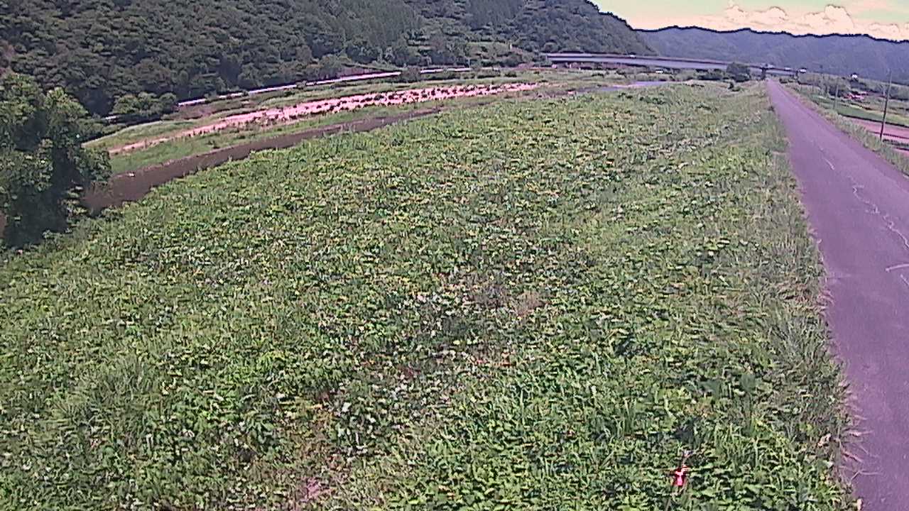 千代川　19ｋｍ左岸