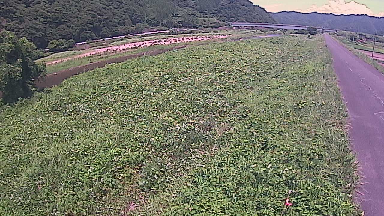 千代川　19ｋｍ左岸