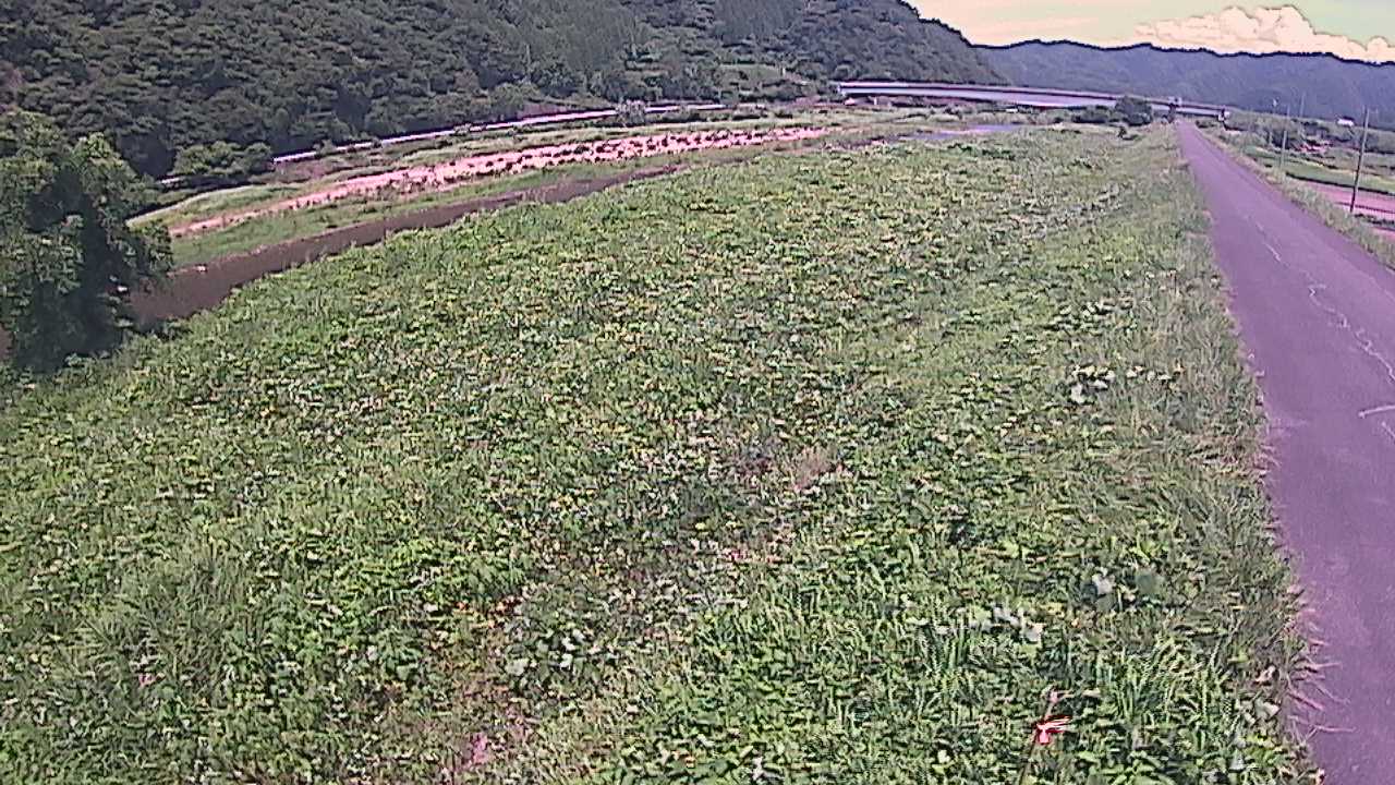 千代川　19ｋｍ左岸